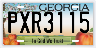 GA license plate PXR3115