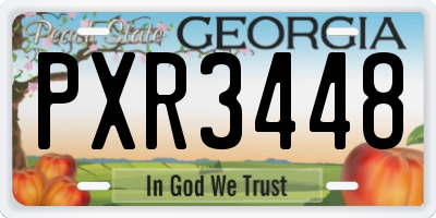 GA license plate PXR3448