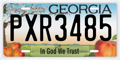 GA license plate PXR3485
