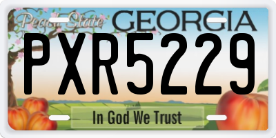 GA license plate PXR5229