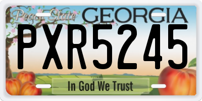 GA license plate PXR5245