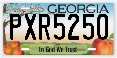 GA license plate PXR5250