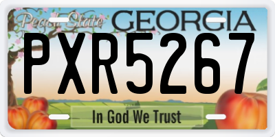 GA license plate PXR5267