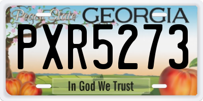 GA license plate PXR5273