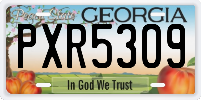 GA license plate PXR5309