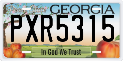GA license plate PXR5315