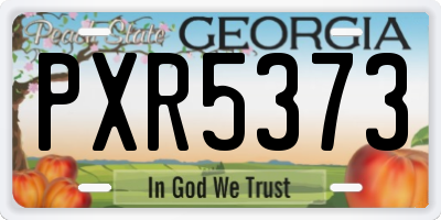 GA license plate PXR5373