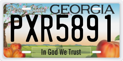 GA license plate PXR5891