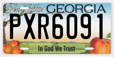 GA license plate PXR6091