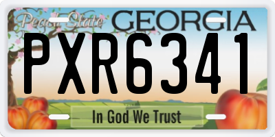 GA license plate PXR6341