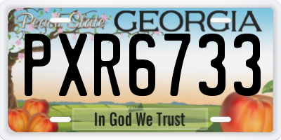 GA license plate PXR6733