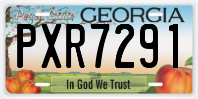 GA license plate PXR7291