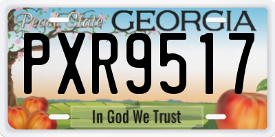 GA license plate PXR9517