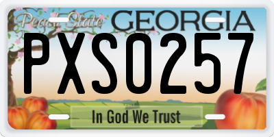 GA license plate PXS0257
