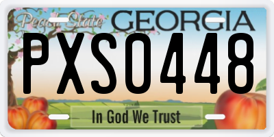 GA license plate PXS0448