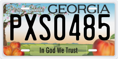 GA license plate PXS0485