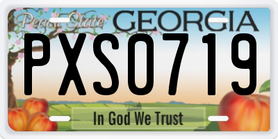 GA license plate PXS0719