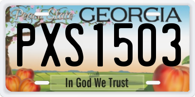 GA license plate PXS1503