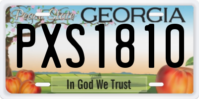 GA license plate PXS1810