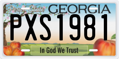 GA license plate PXS1981