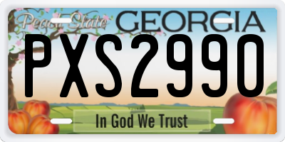 GA license plate PXS2990