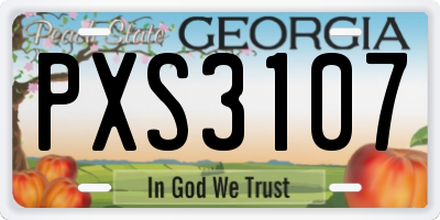 GA license plate PXS3107