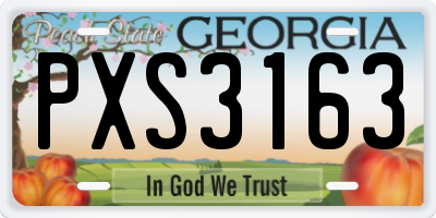 GA license plate PXS3163