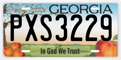 GA license plate PXS3229