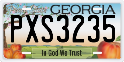 GA license plate PXS3235
