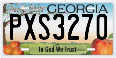 GA license plate PXS3270