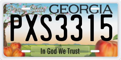GA license plate PXS3315