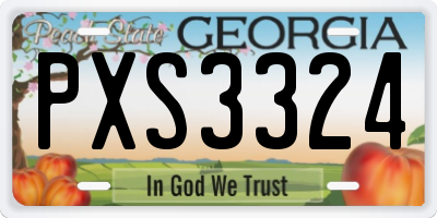 GA license plate PXS3324