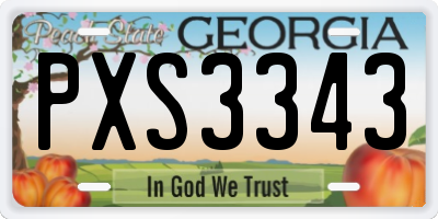 GA license plate PXS3343
