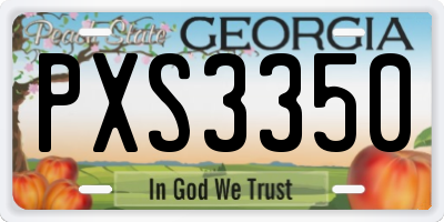 GA license plate PXS3350