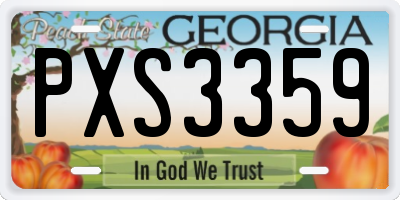 GA license plate PXS3359