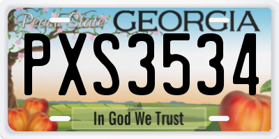 GA license plate PXS3534