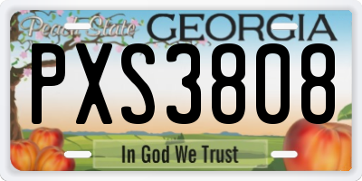 GA license plate PXS3808