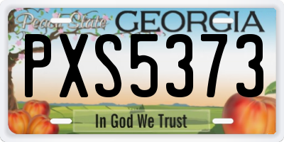 GA license plate PXS5373