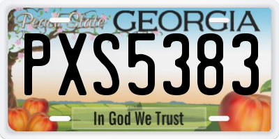 GA license plate PXS5383