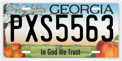 GA license plate PXS5563