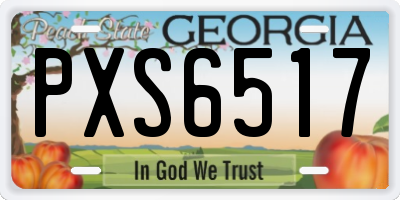 GA license plate PXS6517