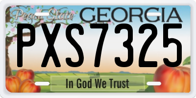 GA license plate PXS7325