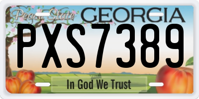 GA license plate PXS7389