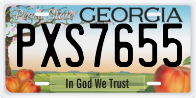 GA license plate PXS7655