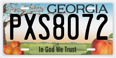 GA license plate PXS8072