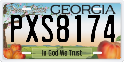GA license plate PXS8174