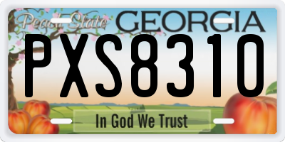 GA license plate PXS8310