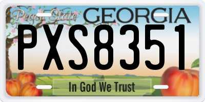 GA license plate PXS8351