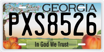 GA license plate PXS8526
