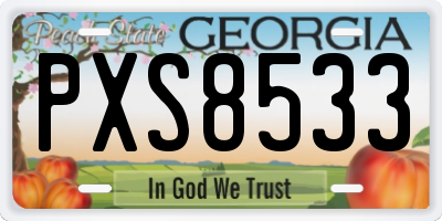 GA license plate PXS8533